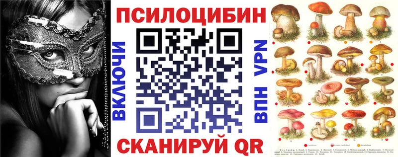 KRAKEN ТОР  Прохладный  Псилоцибиновые грибы Magic Shrooms 
