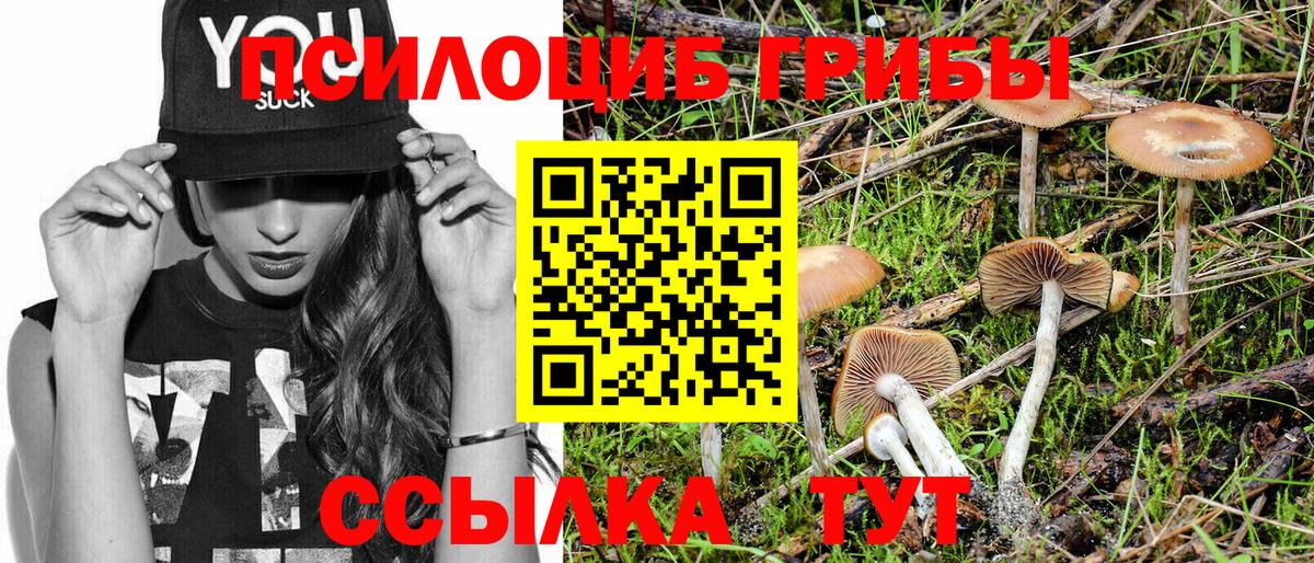Галлюциногенные грибы ЛСД  Вход с VPN  Псилоцибиновые грибы прущие грибы  Прохладный 
