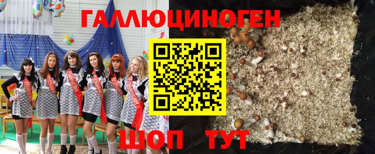 Галлюциногенные грибы Cubensis Прохладный