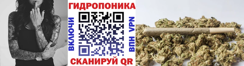 omg ТОР  Прохладный  МАРИХУАНА семена 